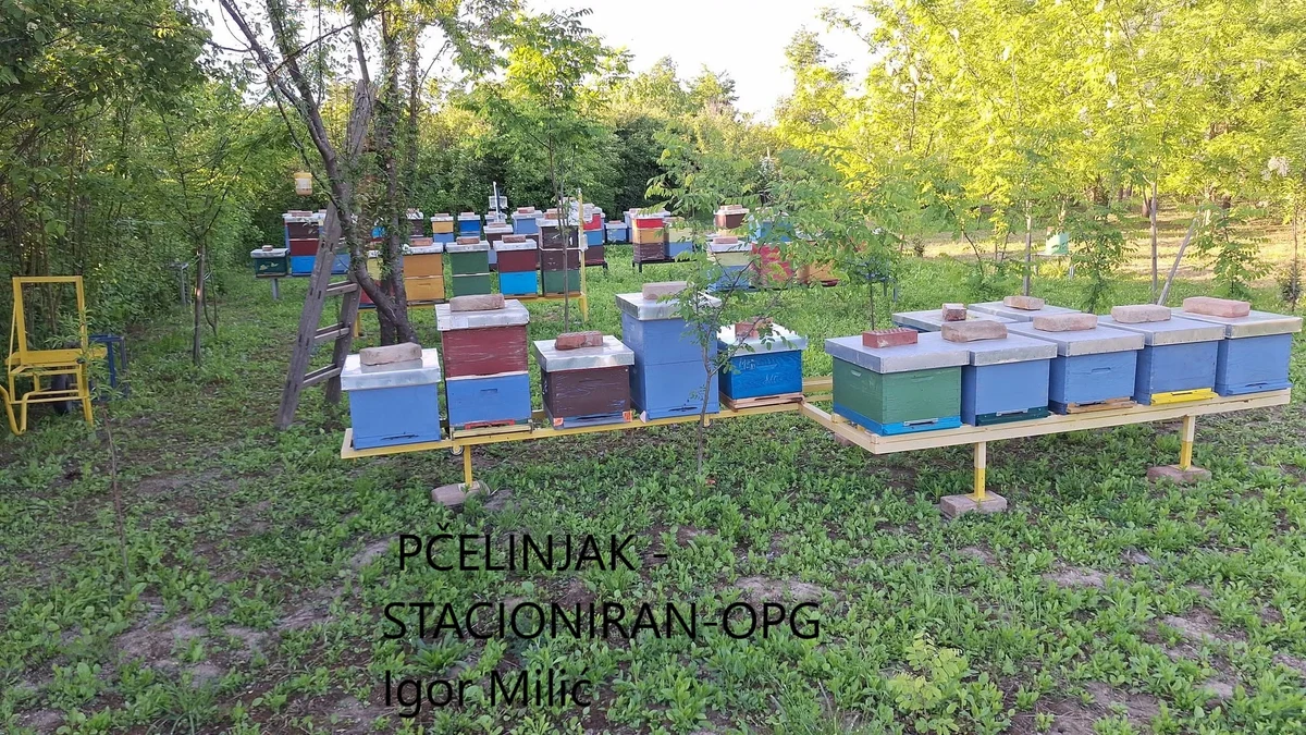 Pčelar s iskustvom i ljubavlju prema prirodi