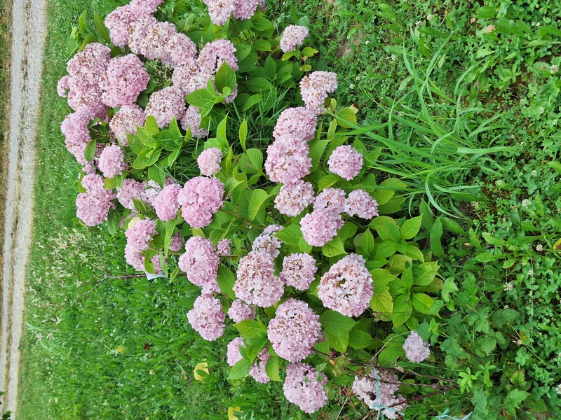 Sezonska i lokalna ponuda